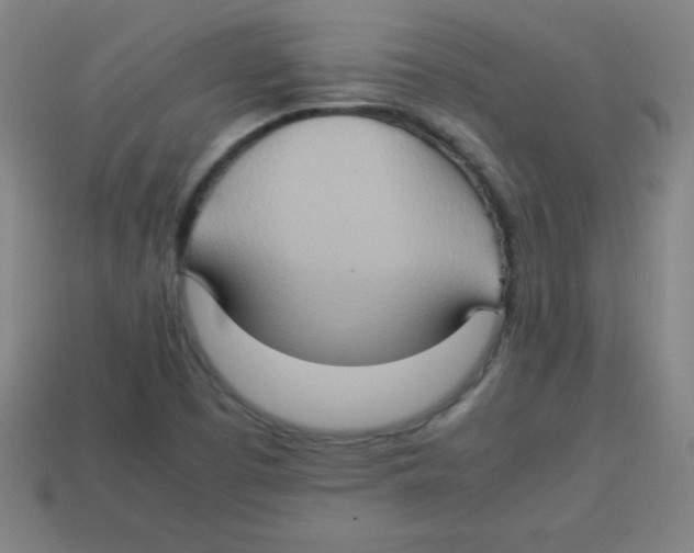 X0000113781457200910211155