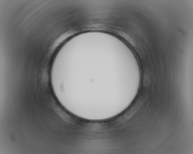 X0000113781458200910211155