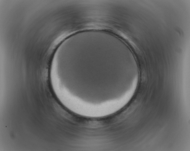 X0000113781459200910211155