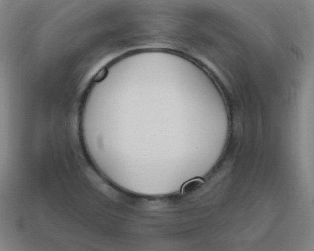 X0000113781460200910211155