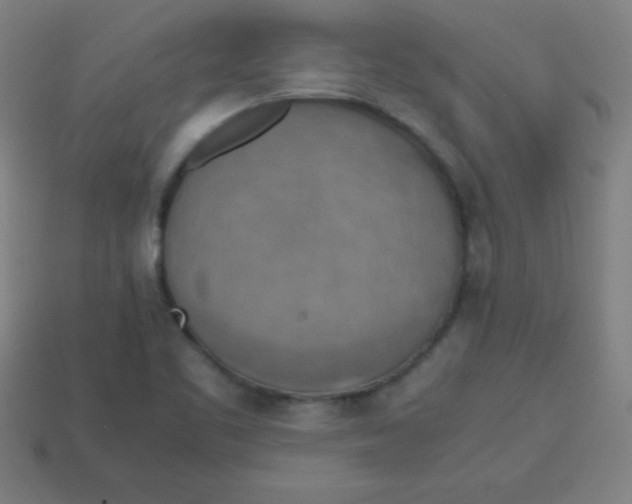 X0000113781461200910211155