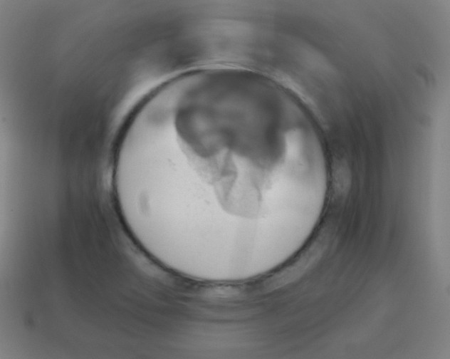 X0000113781462200910211155