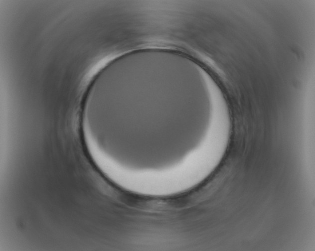 X0000113781463200910211155