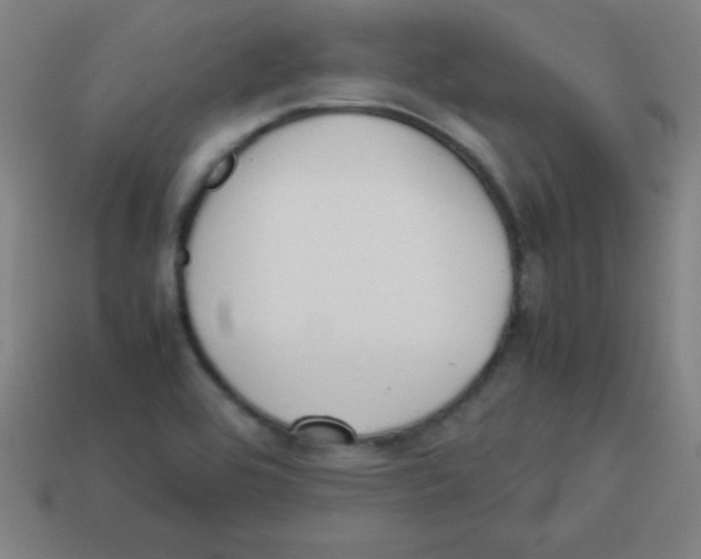 X0000113781464200910211155