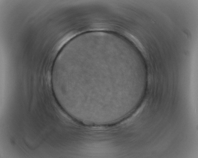 X0000113781465200910211155