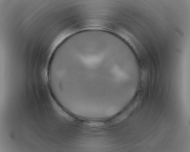 X0000113781466200910211155