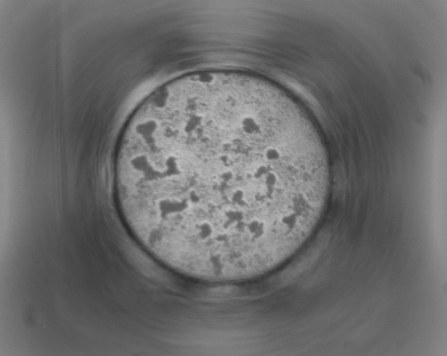 X0000113781467200910211155