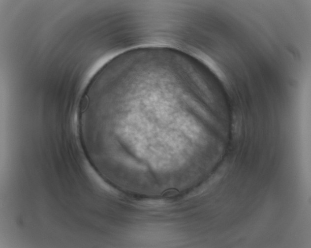 X0000113781468200910211155