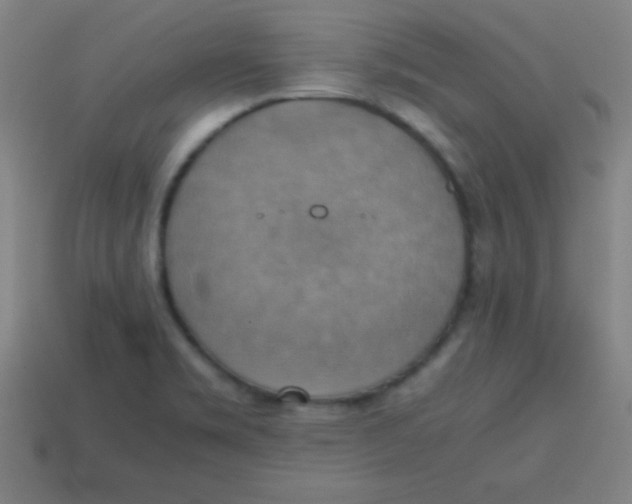 X0000113781469200910211155