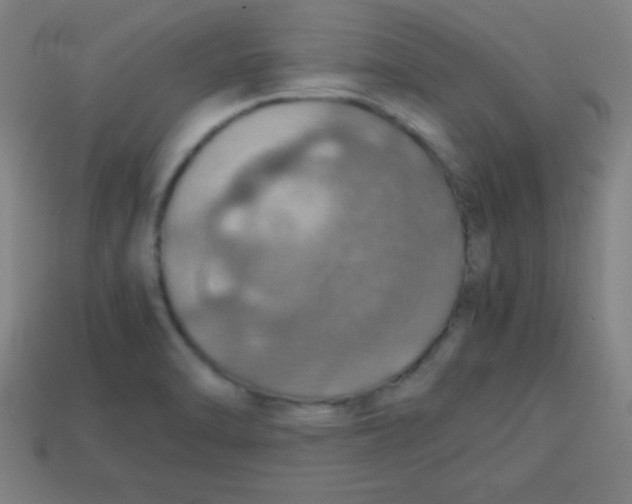 X0000113781470200910211155