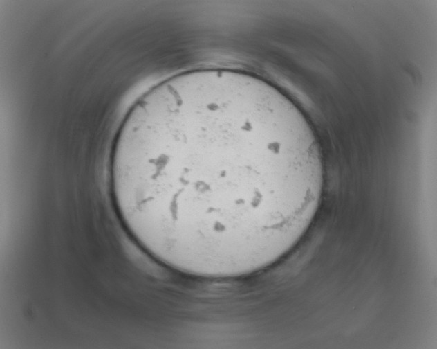 X0000113781471200910211155