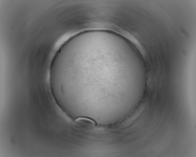 X0000113781472200910211155