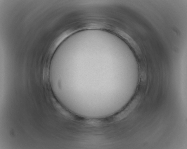 X0000113781473200910211155