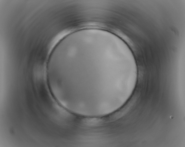 X0000113781474200910211155