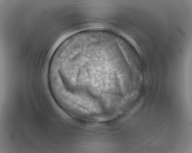 X0000113781475200910211155