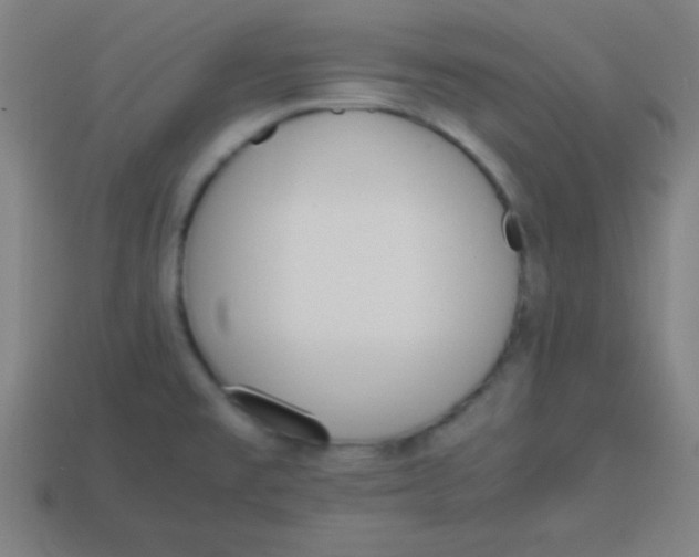 X0000113781477200910211155