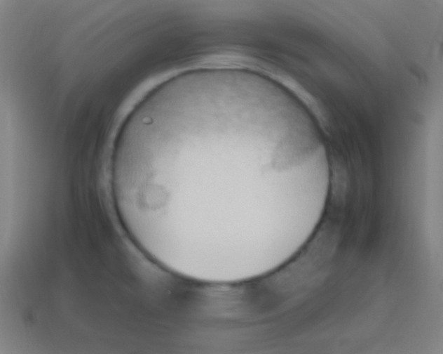 X0000113781478200910211155