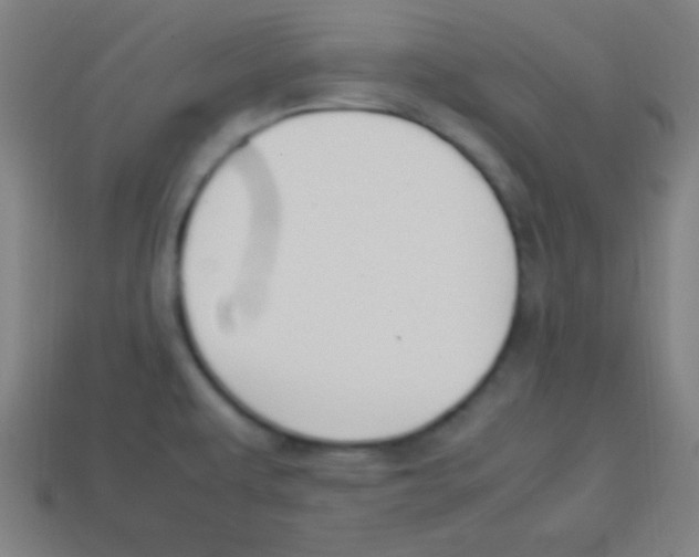 X0000113781479200910211155