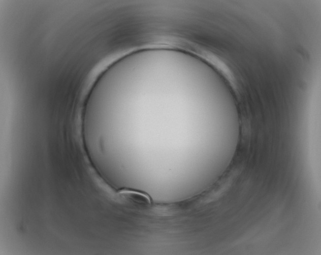 X0000113781480200910211155