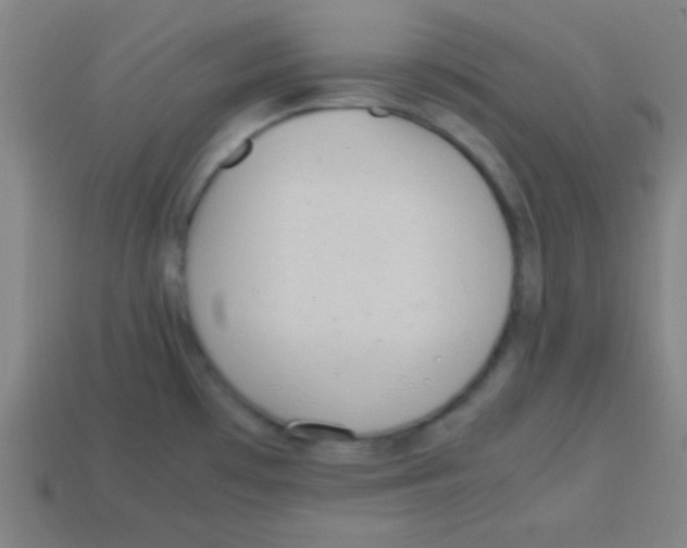 X0000113781481200910211155