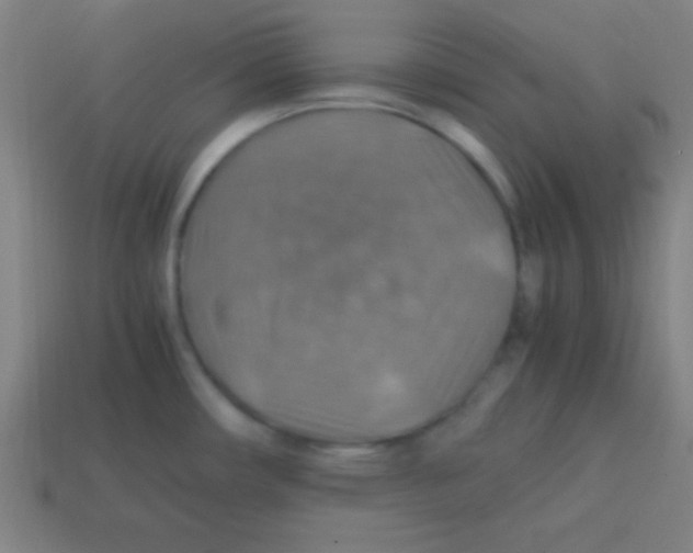 X0000113781482200910211155