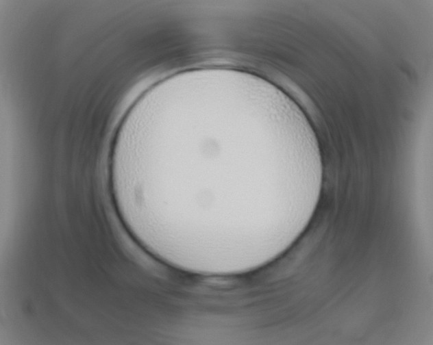 X0000113781483200910211155