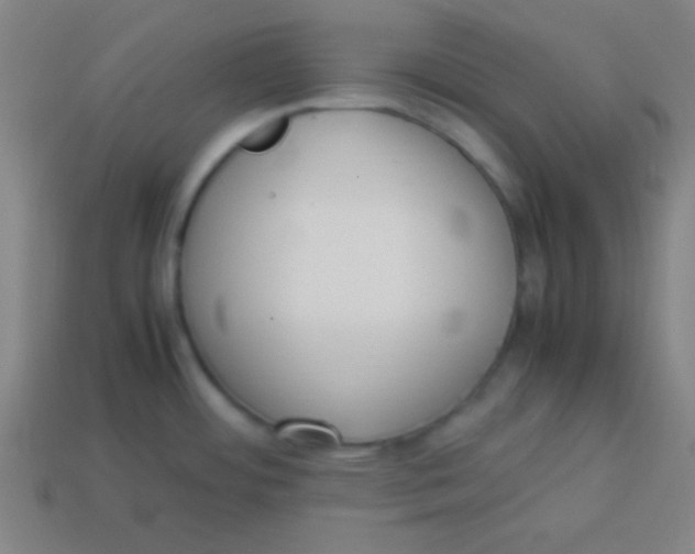 X0000113781484200910211155