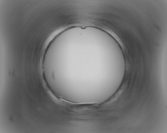 X0000113781485200910211155