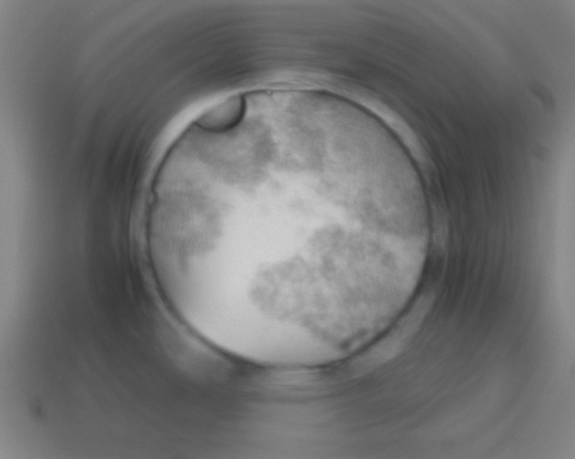 X0000113781486200910211155