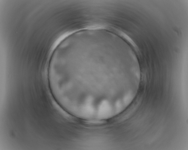 X0000113781487200910211155