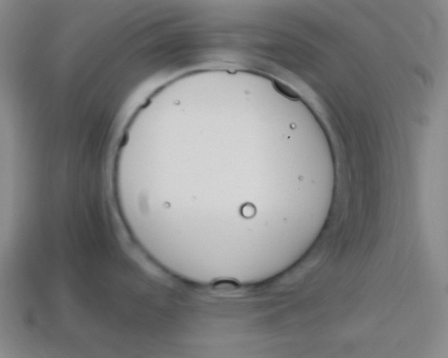 X0000113781488200910211155