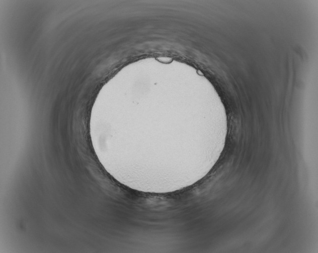 X0000113781489200910211154