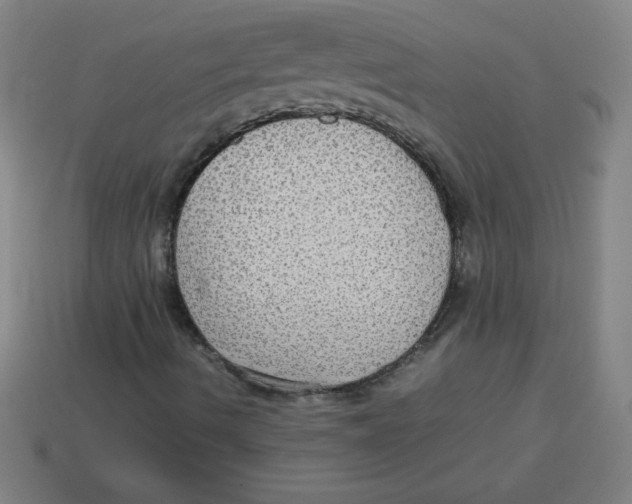 X0000113781490200910211154