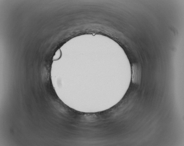 X0000113781491200910211154