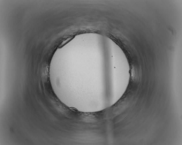 X0000113781492200910211154