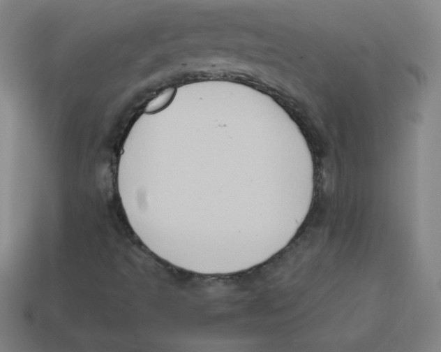 X0000113781493200910211154