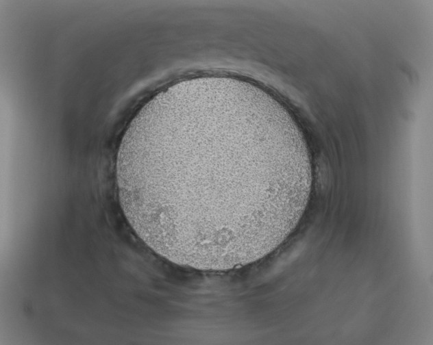 X0000113781494200910211154