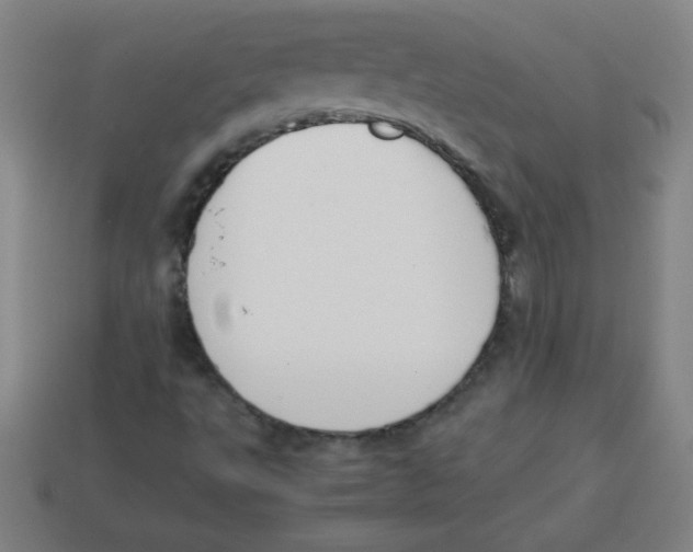 X0000113781495200910211154