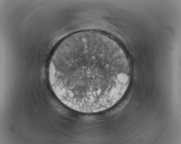 X0000113781497200910211154