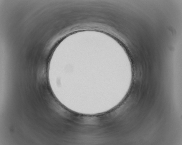 X0000113781498200910211154