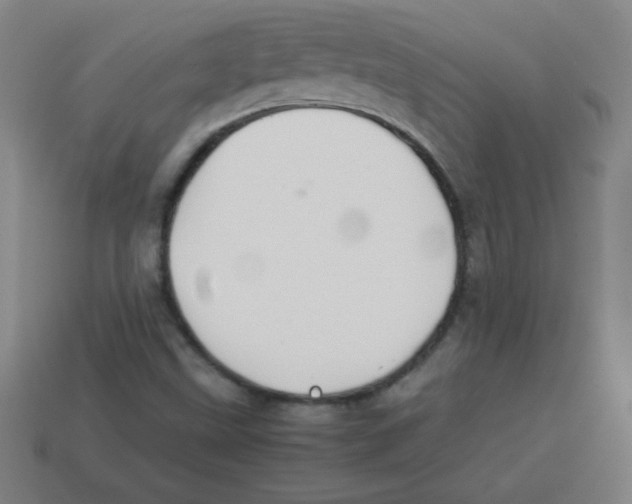 X0000113781499200910211154