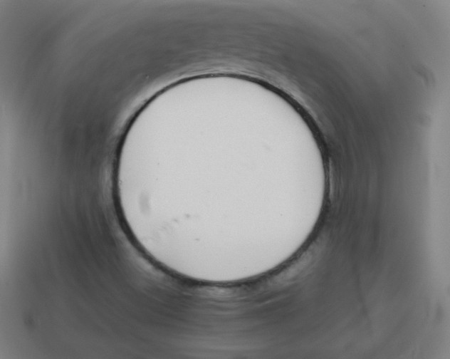 X0000113781500200910211154