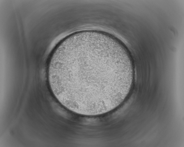 X0000113781501200910211154