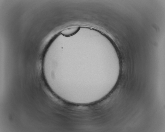 X0000113781503200910211154