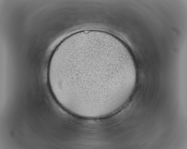 X0000113781504200910211154