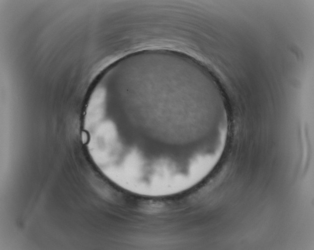 X0000113781505200910211154