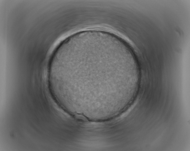 X0000113781506200910211154