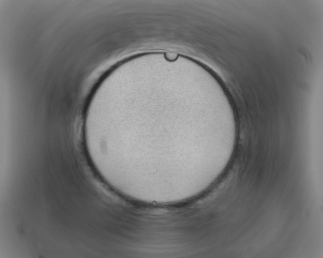 X0000113781507200910211154