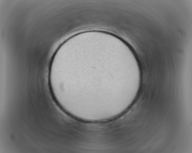 X0000113781508200910211154