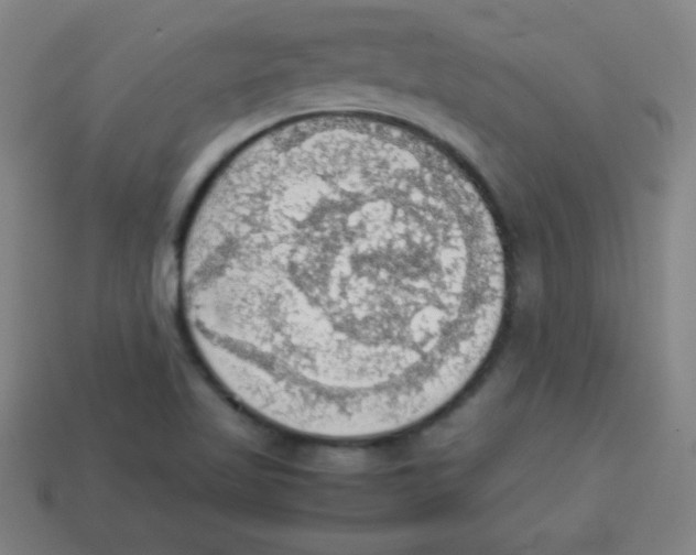 X0000113781509200910211154